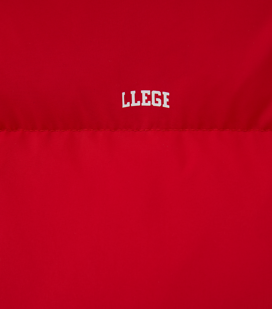 LLEGE HOODIE PUFFER