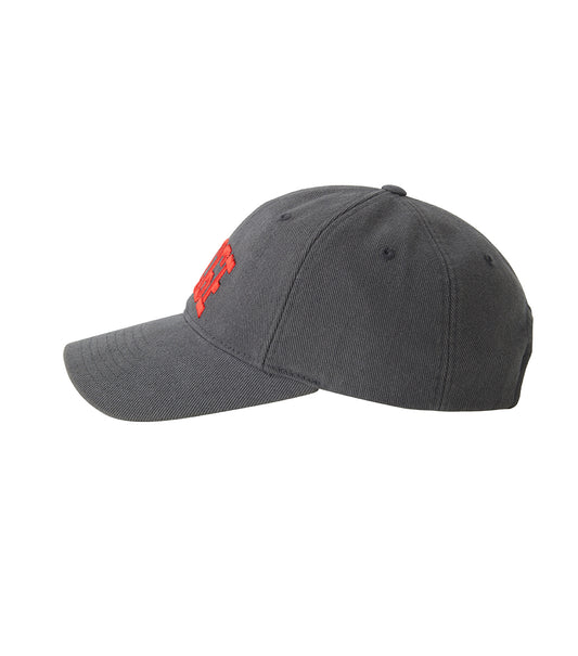 CLASSIC LLEGE BALL CAP