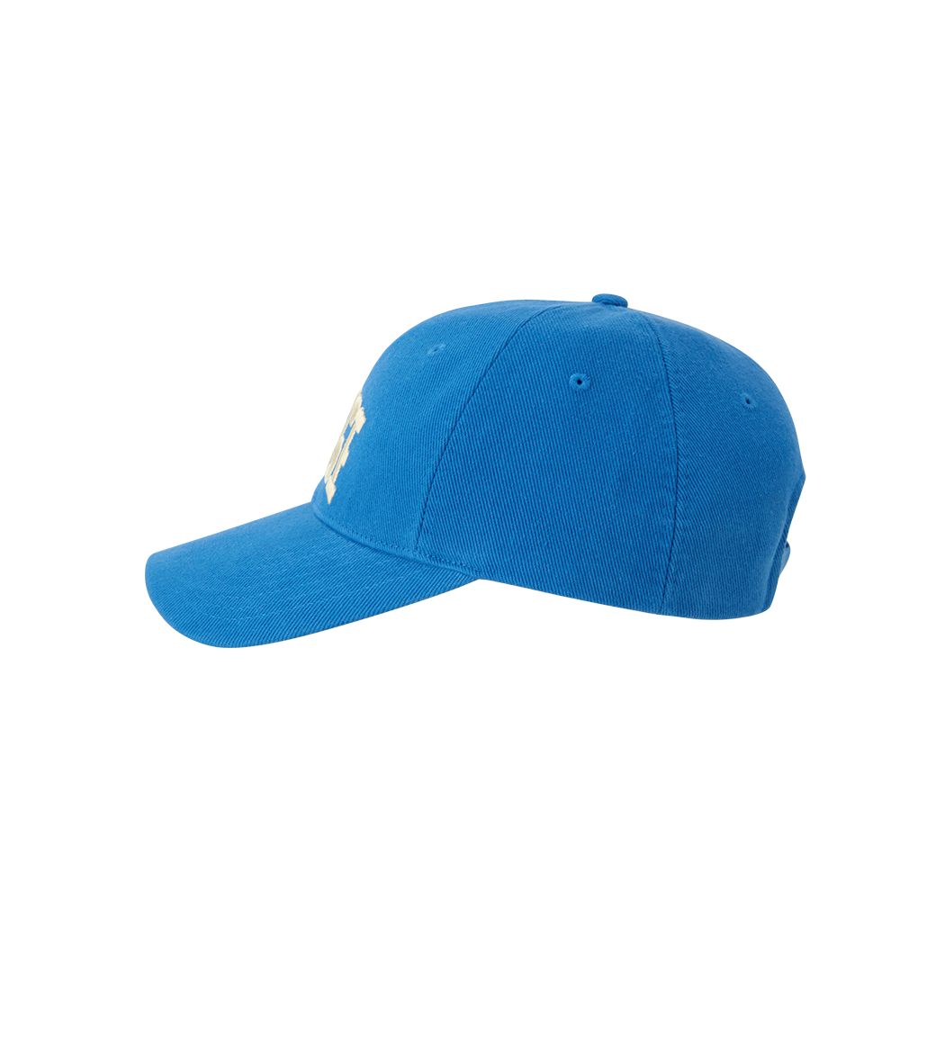 CLASSIC LLEGE BALL CAP