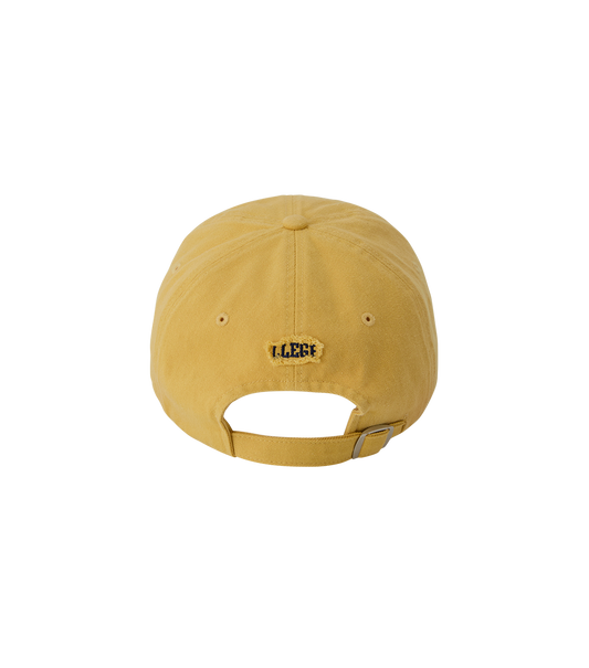 DANCE ACADEMY BALL CAP